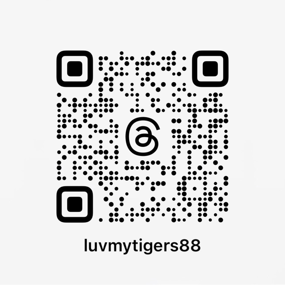 Live Show w Luvmytigers Sundays and Tuesday evenings - Picture 7 of 8